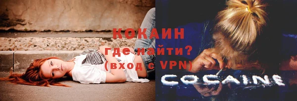 PSILOCYBIN Иннополис