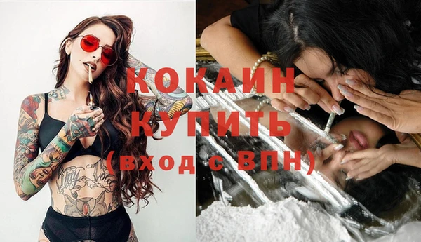 mdpv Инта