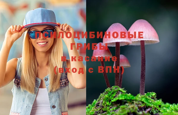 PSILOCYBIN Иннополис