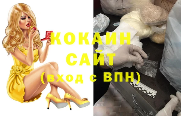 PSILOCYBIN Иннополис