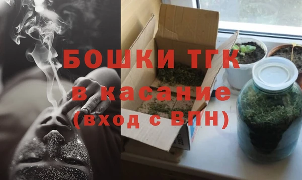 PSILOCYBIN Иннополис