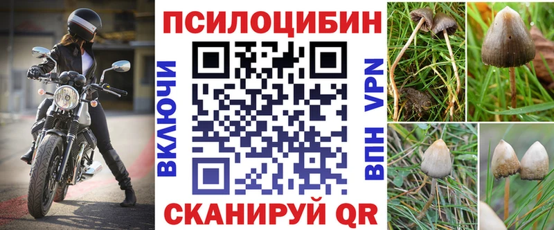 Псилоцибиновые грибы GOLDEN TEACHER  Киров 