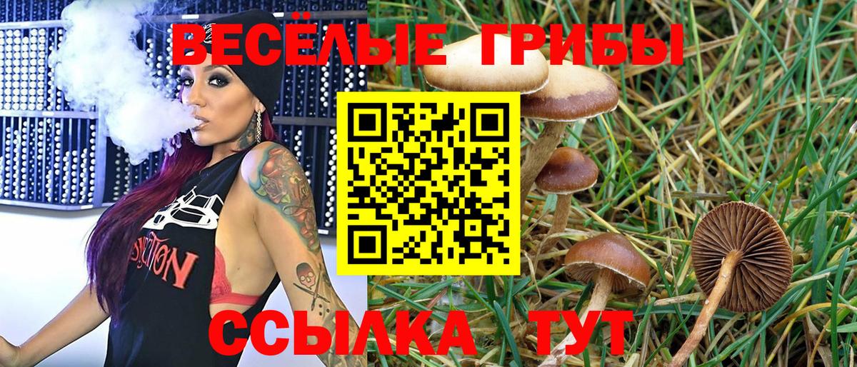 Псилоцибиновые грибы MAGIC MUSHROOMS  Вход с VPN  Галлюциногенные грибы MAGIC MUSHROOMS  сколько стоит  Киров 